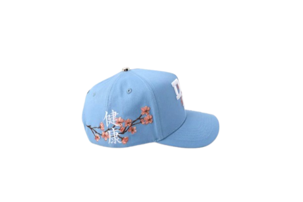 El Dreamer DR Hat