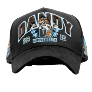 Dandy University Snapback Hat