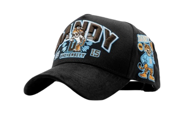 Dandy University Snapback Hat