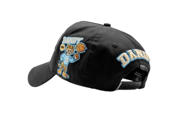 Dandy University Snapback Hat