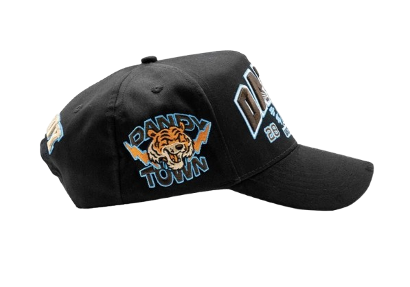 Dandy University Snapback Hat