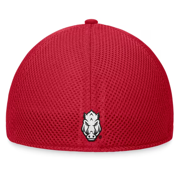 Men Top of the World Cardinal Arkansas Razorbacks Spacer Flex Hat