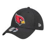 Men’s NFL Arizona Cardinals Core Black Flex Hat