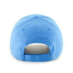 NFL Carolina Panthers Team Adjustable Hat