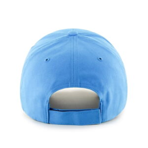 NFL Carolina Panthers Team Adjustable Hat