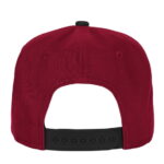 Youth NFL Arizona Cardinals Essentials Red Snapback Hat