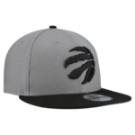 Men's New Era Gray Toronto Raptors Core Logo Storm Gray Two-Tone 9FIFTY Snapback Hat