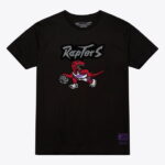 Unisex Mitchell & Ness Black Toronto Raptors Hardwood Classics Arch T-Shirt