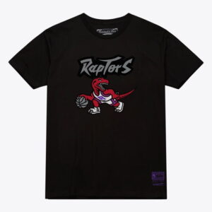 Unisex Mitchell & Ness Black Toronto Raptors Hardwood Classics Arch T-Shirt