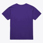 Unisex Mitchell & Ness Purple Toronto Raptors Hardwood Classics Arch T-Shirt