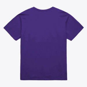 Unisex Mitchell & Ness Purple Toronto Raptors Hardwood Classics Arch T-Shirt