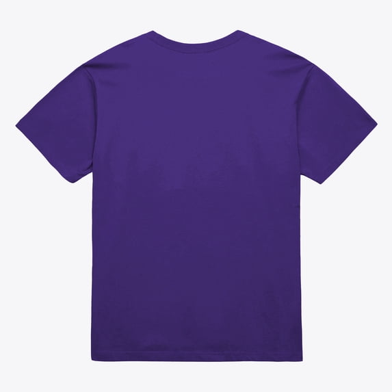 Unisex Mitchell & Ness Purple Toronto Raptors Hardwood Classics Arch T-Shirt