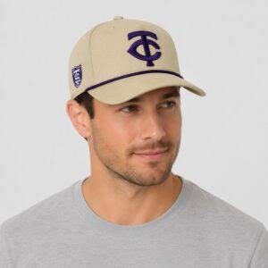 buying minnesota twins hats