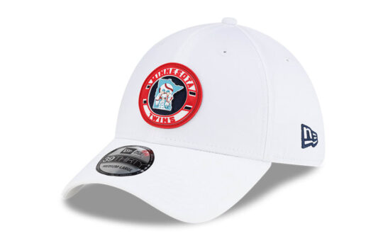 minnesota twins hats and team apparel for fans